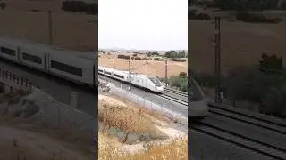 AVE Talgo AVRIL RENFE 106.  #renfe #madrid #adif #railway #train #ave #talgo #tren #travel