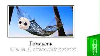 Кошечки-собачки + ШИЗА =