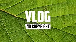 Osh&oacute;va - Tidal Dance (Vlog No Copyright Music)