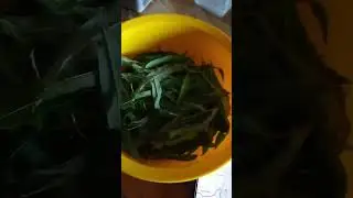 травы