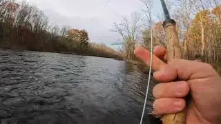 Great Lakes CHROMER || Hot STEELHEAD on the Swing