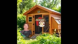 Chicken Coop - Iris Barratt Interview
