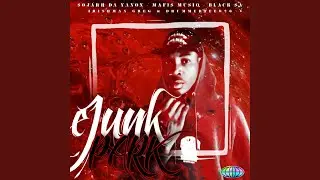 Ejunk Park