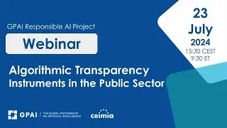 Algorithmic Transparency in the Public Sector: Mapping and Assessing Transparency Instruments