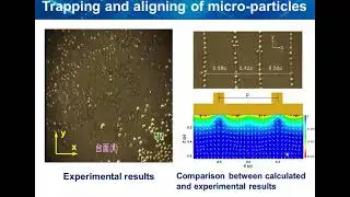 Massively Acoustic Manipulation Based on Artificial Structure Tuned Acoustic Field