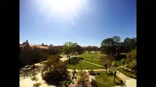 A Day on Landis Green