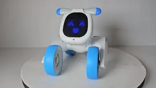 Rogalaly Robot Dog