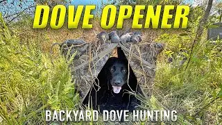 DOVE HUNTING My Backyard! | Opening Day Dove Season