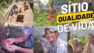 Base feita+colheita de batata no #sitio/QUALIDADE DE VIDA. #toninhoneto #familia