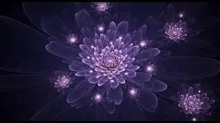 🌑 LIVE: 🌙 ✨  Mystic Forest Ambient - Deep Sleep & Meditation Music ✨🌙 | Relaxation Soundscapes