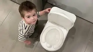 CheerTry 2 in 1 Toddler Potty Training Toilet, Larger Potty Chair & Detachable Training Seat Review