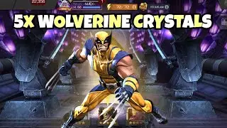 5x SHOTS AT WOLVERINE AS A 5 STAR! MARVEL CONTEST OF CHAMPIONS