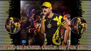 REGGAE 2023 MELO DE ÁGATA CECÍLIA SLY FOX, PEDRA LINDA