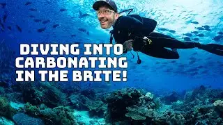 Как карбонизировать пиво в Brite Tank