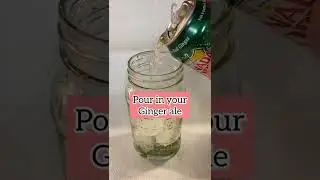 Ginger Ale Moctail | Virgin Mojito