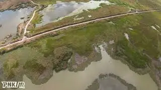 Chicken Hawk Attacks Drone