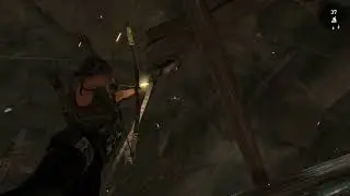 Tomb Raider: Definitive Edition_20260111215733