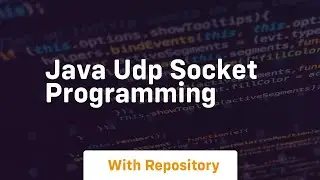 java udp socket programming