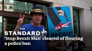 &lsquo;Stop Brexit Man&rsquo; cleared of flouting ban on playing music near Parliament