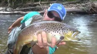 Big Vermont Brown Trout: On the Fly by Brian Cadoret