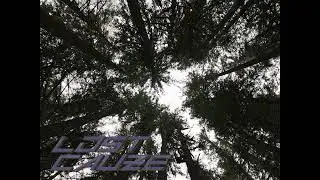 Lost Cauze - FTS - Acoustic Guitar