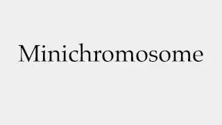How to Pronounce Minichromosome