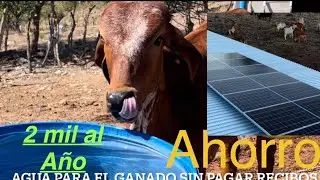 ¿Cómo ahorrar en recibos de energía y agua en tu rancho?