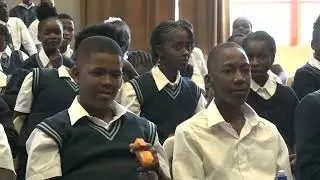 NANSO calls for intervention in boy child underperformance