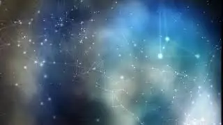 Macro Plex 4K Video Background Loop