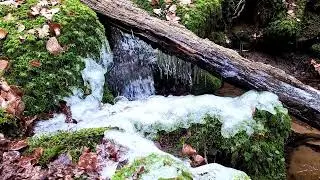 Xanderklinge i uroki wąwozu 🫨👣✌️  #pasja #szlak #drzewa #natura #weekend #relax #odgłosynatury