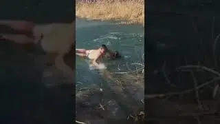 🐶❄️ Frozen Rescue: Bravery Beyond the Ice 🦸&zwj;♂️🌊