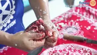 Tutorial cabut duri ikan LELE