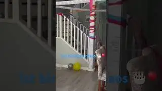 First Birthday Chaos!