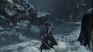 Bloodborne... That's one mad Bloodlicker