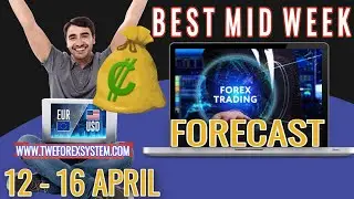 🟢 MID Week Forex Analysis