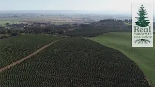 LIVE: Oregon Christmas Tree Virtual Farm Tour