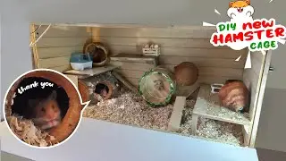 DIY Hamster Cage | How to make hamster house cheap budged