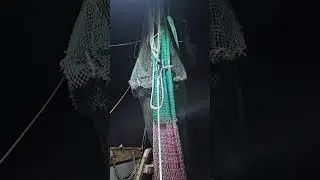 About to drop the net #fishing #shrimplife #seafood #livebaitfishing #shrimp #liveshrimp