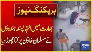 In India, Extremist Hindus Unleash Dog On Muslim Woman | Breaking News | Dawn News