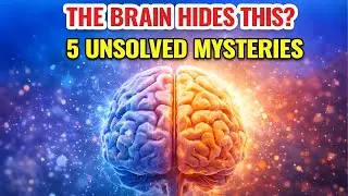 5 Unsolved Mysteries About the Human Brain #Science #Mystery #Biology