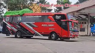 Paten..Banyak Buka Loket Di Terminal..Bus MTrans Masuk Palembang ??Bus Sinar Jaya Buka Line Padang ?