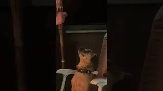 Minion being intense
