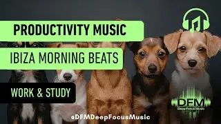 Productivity Music 70 BPM | 1 Hour Morning Focus Beats for Deep Work & Concentration