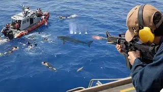 How US Sailors Protect Themselves From Scary Shark Attacks During Swim Call