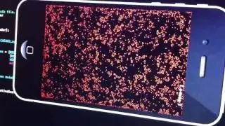 Conway's Game of Life on GLSL ES