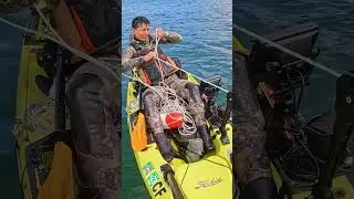 Kayak Crabbing Northern California: THE NET WAS SO FULL I COULD BARELY BRING IT UP