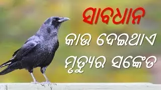 Kaau Kahithae Kebe Asiba Mrutyu au Dhana