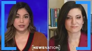 New Minnesota fraud allegations ‘utterly infuriating’: Batya | NewsNation Prime