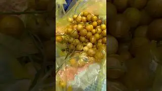 Vietnamese fruit Loquat #vlog #travel #trending #food #foodie #asmr #trend #viralshorts #shorts #eat