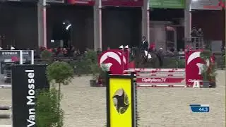 Bingo 2000 Z - Balou du Reventon x Chin Chin
